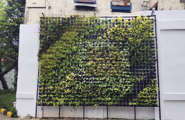 Vertical Garden