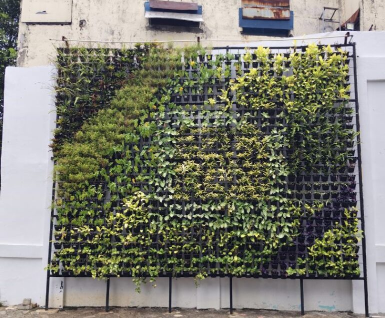 Vertical Garden