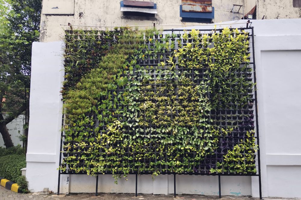 Vertical Garden